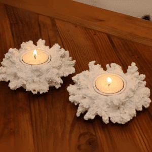 לב הים- פמוט אלמוג