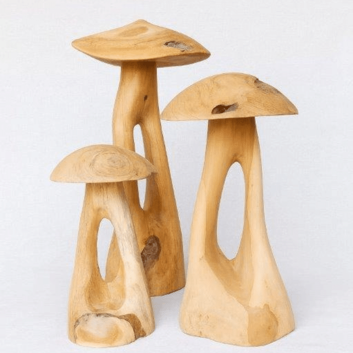 פטריות מעץ טיק