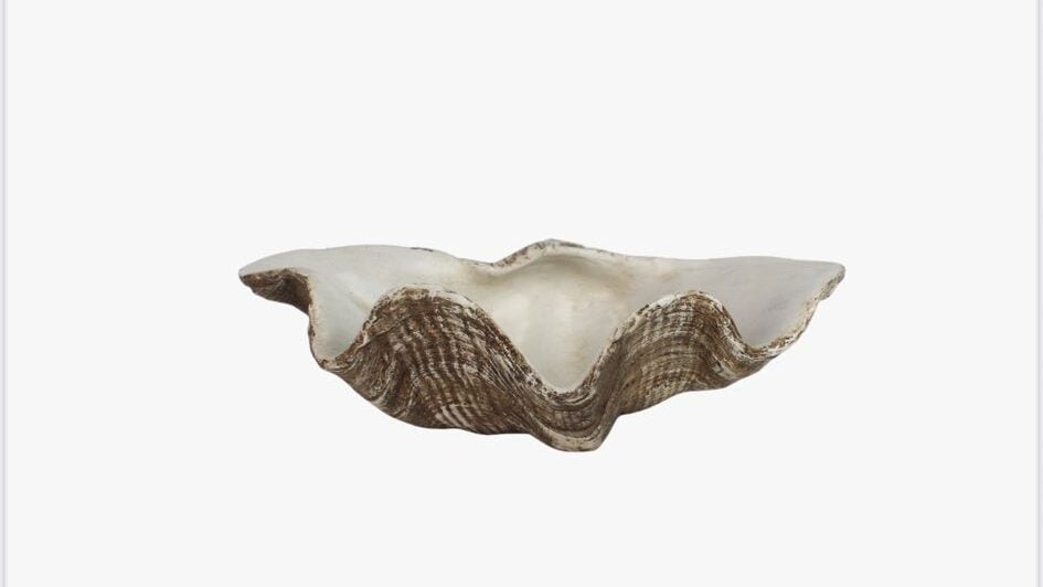 צדף עשוי שרף