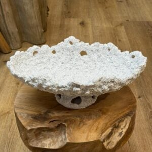 קערת אוקיינוס על רגל