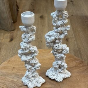 פמוטי אוקיינוס