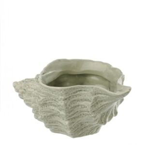 קערת קונכיה ירוק מנטה