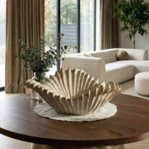 קערת צדפה סיישל